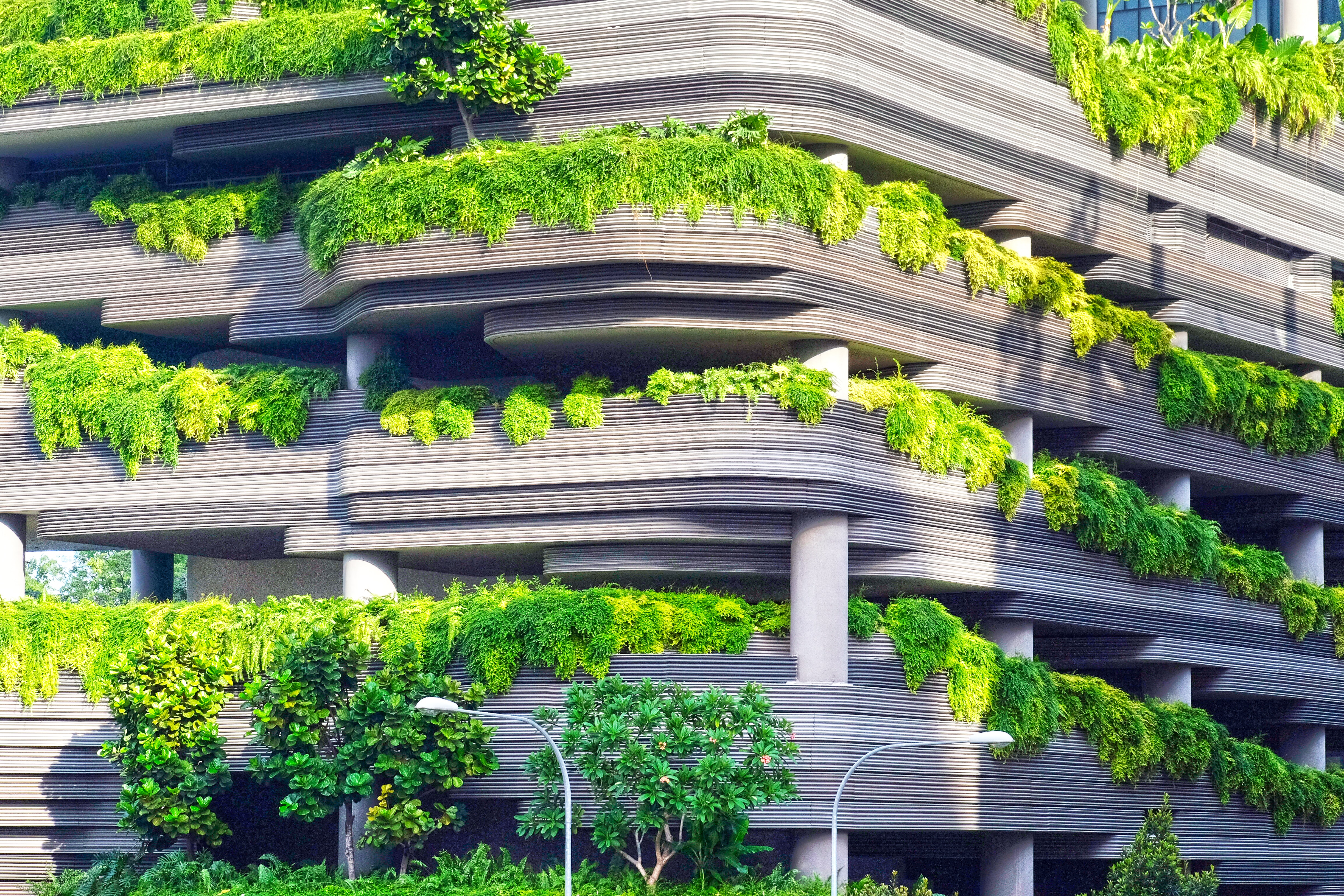 Die grüne Stadt: Heilsbringer für Bewohner, Natur und Verwaltung!